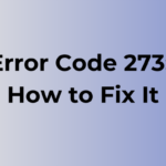 Error Code 273: Causes and Fixes